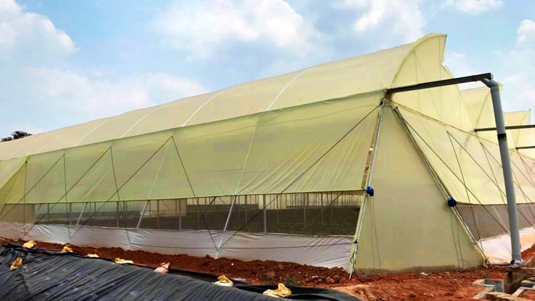 غطاء بلاستيك أصفر للبيوت المحمية
فيلم تغطية صوب زراعية 200 ميكرون
غطاء بلاستيكي مقاوم التنقيط والضباب
غطاء بولي إيثيلين 14x41 متر