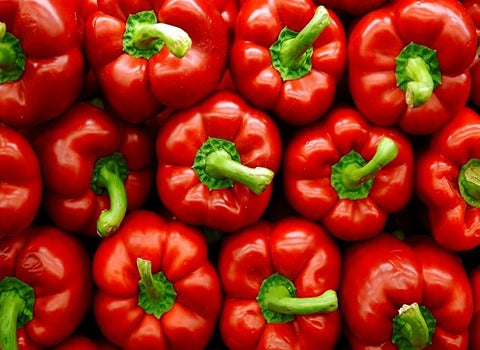 بذور فلفل حلو أحمر هجين – نوبل لورد