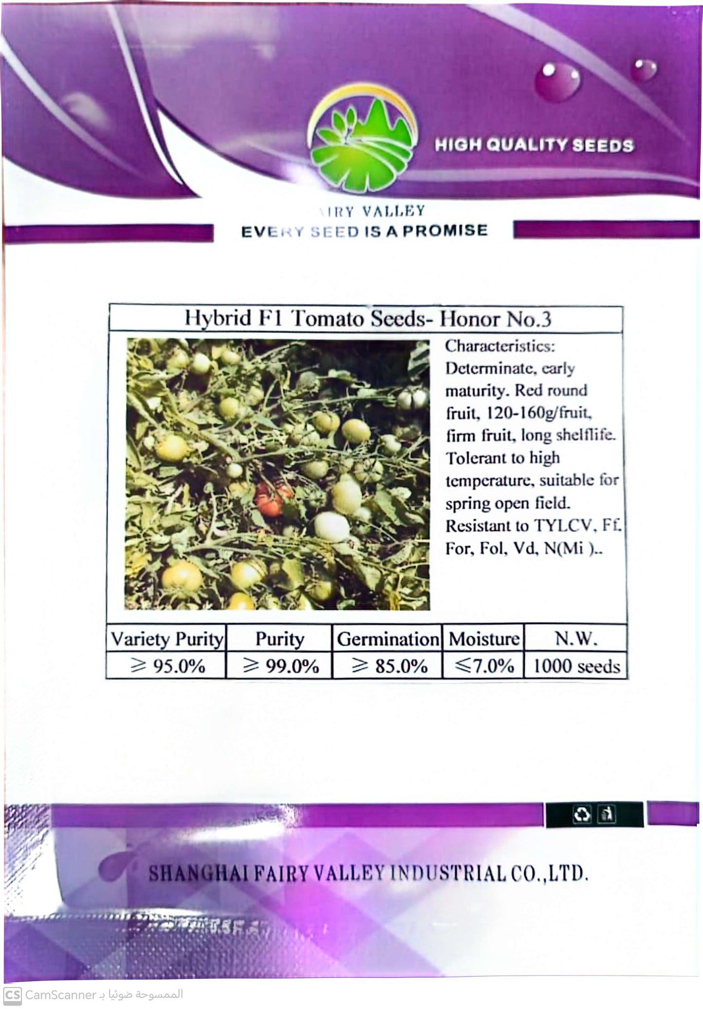 محصول طماطم مبكر النضج مقاوم للأمراض بتقنية هجينة.