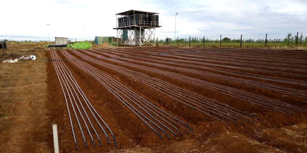 أنبوب ري بالتنقيط جانبي بطول 2000 متر وقطر 16 مم، بمسافة 10 سم