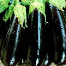 بذور باذنجان هجين F1 أسود طويل – عبوة تحتوي على 1000 بذرة