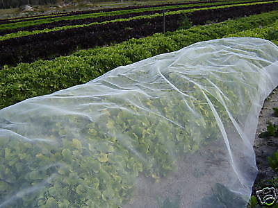 "شبك أبيض مضاد للحشرات بطول ٥٠ متر وعرض ٤ متر"