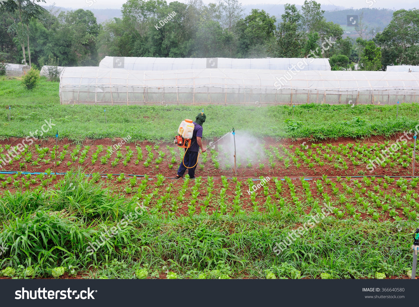 "رشاش ضغط عالي بمحرك هوندا رباعي الزمن"
"محرك هوندا بنزين قوي لجهاز رش زراعي"
"خزان رشاش سعة ٢٥ لتر للمزارع"
"مكبس رشاش بقطر ١٨ ملم لضغط قوي"
"رشاش مبيدات وأسمدة بمحرك بنزين هوندا"