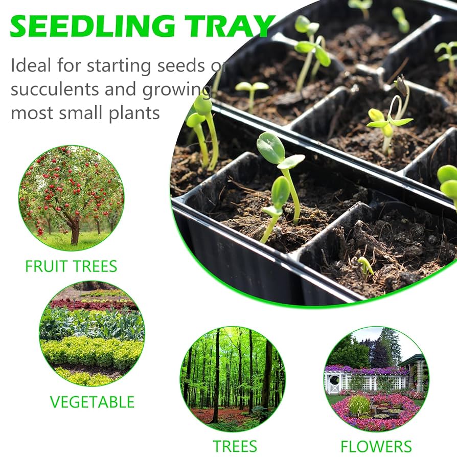 صواني شتلات زراعية متعددة المقاسات
صينية شتلات بلاستيك PET
صينية شتلات عدد ثقوب مختلف
صينية زراعة البذور
صواني مشاتل عالية الجودة