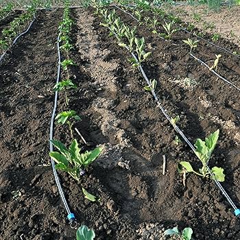 صورة لخرطوم ري أسود سادة في المزرعه، مع التأكيد على تصميمه الموفر للمساحة.
