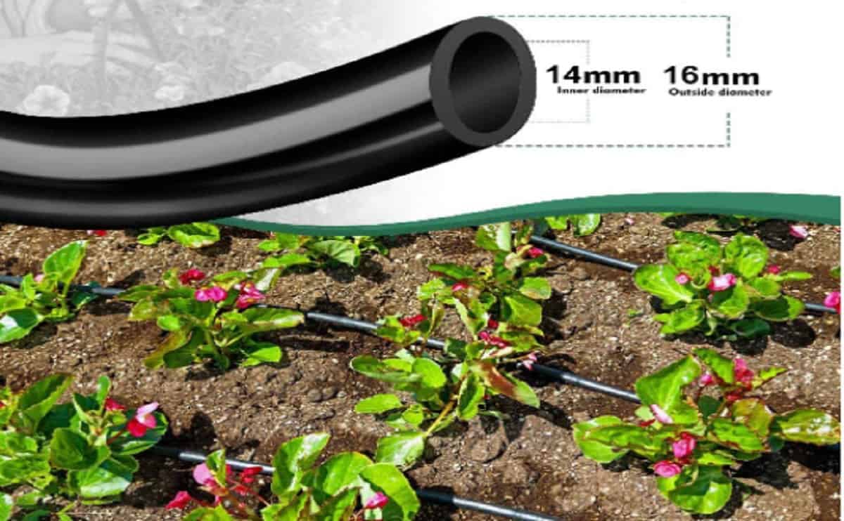 صورة لخرطوم ري أسود سادة في الفناء الخلفي للمنزل، مع التأكيد على تصميمه الموفر للمساحة.

