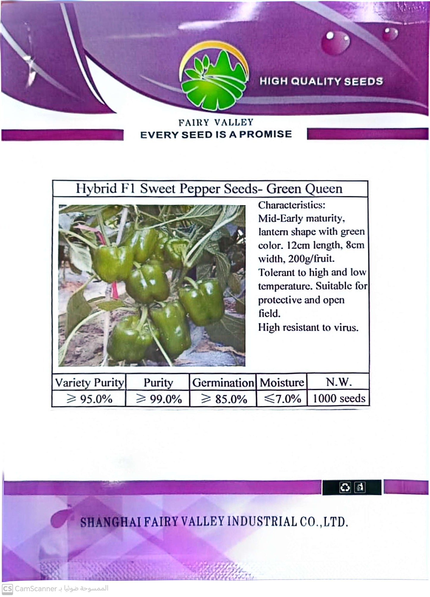 فلفل أخضر متوسط الحجم بوزن 200 جرام