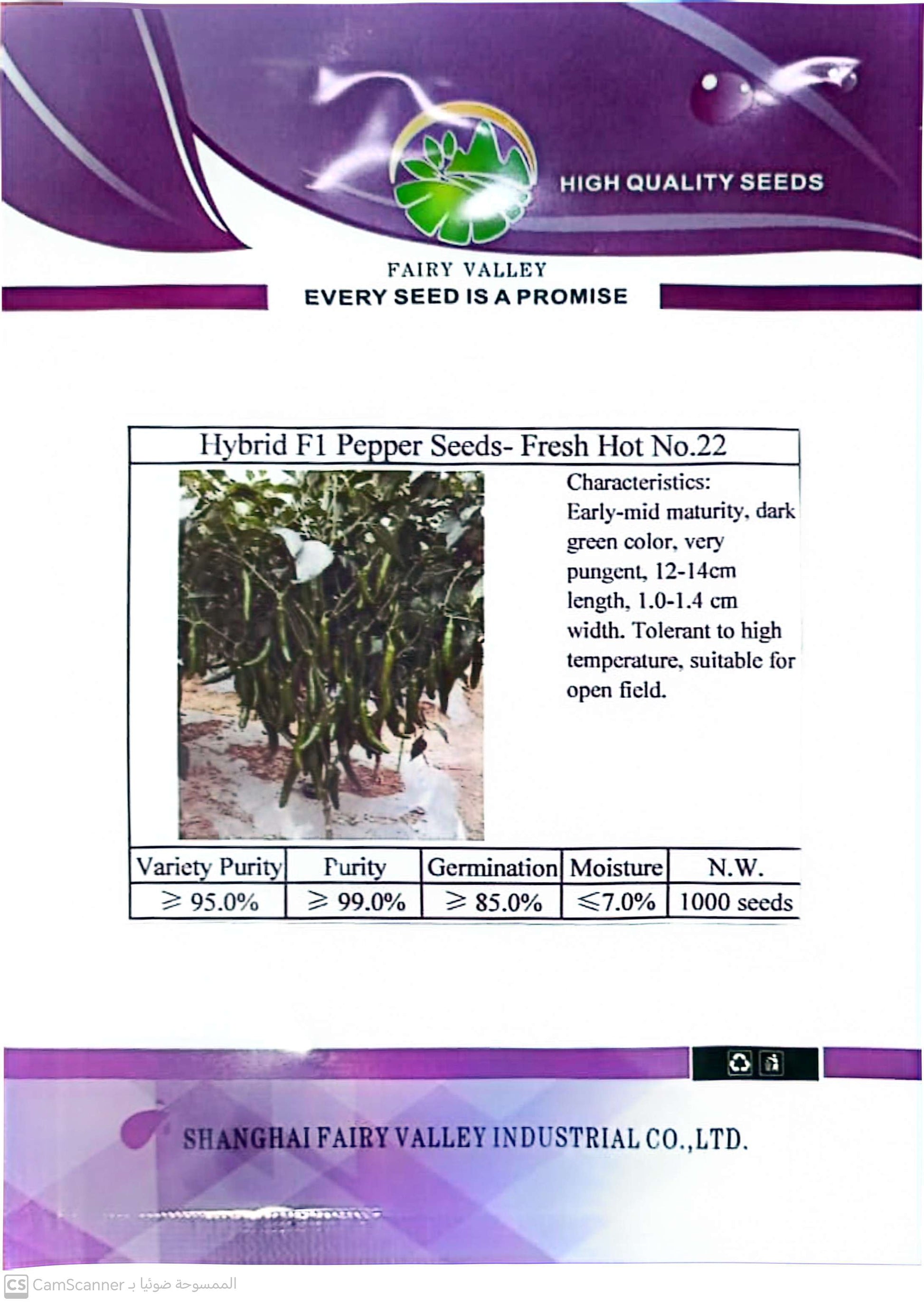 بذور فلفل حار أصفر هجين YP80 – حار جدًا