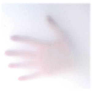 "أقمشة زراعية غير منسوجة حماية من الأشعة للشبكات الزراعية"