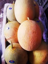 شمام تجاري متوسط النضج بشكل بيضاوي جذاب