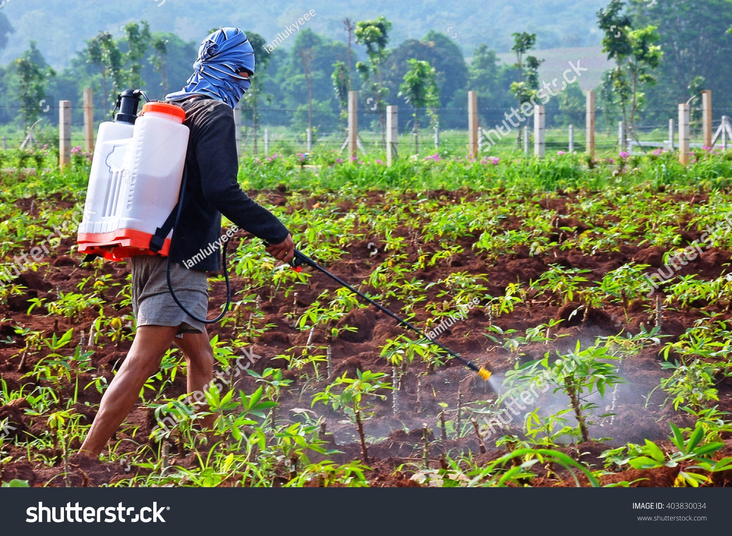 "بستم ضغط قوي لرش مبيدات الحشرات والأسمدة"

