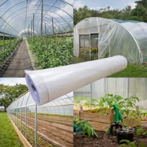 مستلزمات الصوب